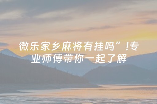 微乐家乡麻将有挂吗”!专业师傅带你一起了解（详细教程）-抖音