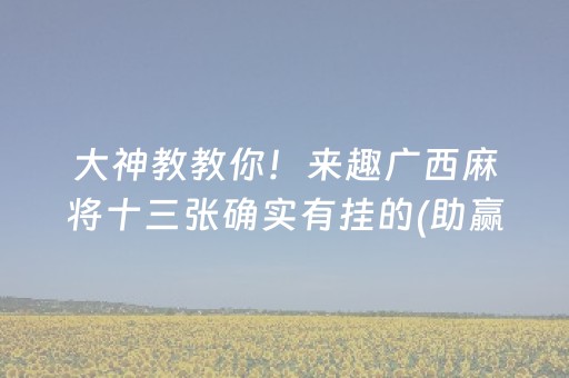 大神教教你！来趣广西麻将十三张确实有挂的(助赢神器)