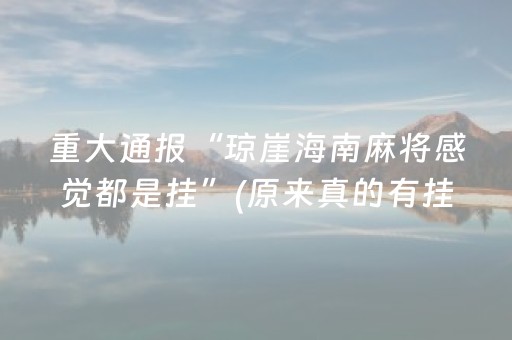 重大通报“琼崖海南麻将感觉都是挂”(原来真的有挂)-抖音