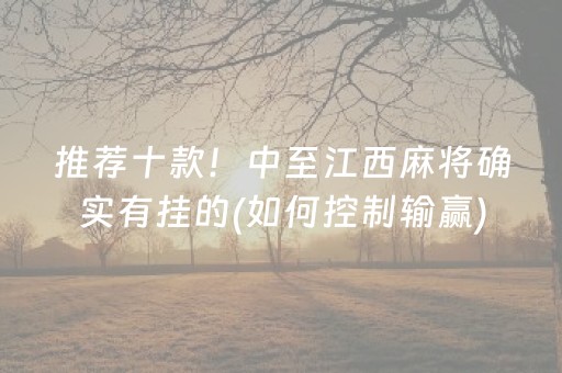 推荐十款！中至江西麻将确实有挂的(如何控制输赢)