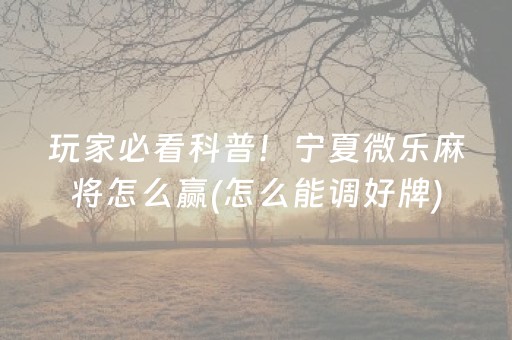 玩家必看科普！宁夏微乐麻将怎么赢(怎么能调好牌)