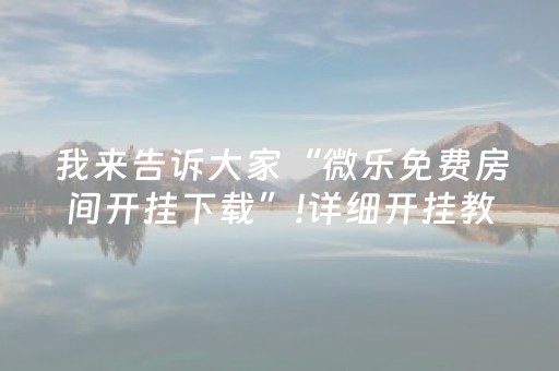 大神教教你“微乐陕西挖坑必胜神器”（开挂辅助脚本)