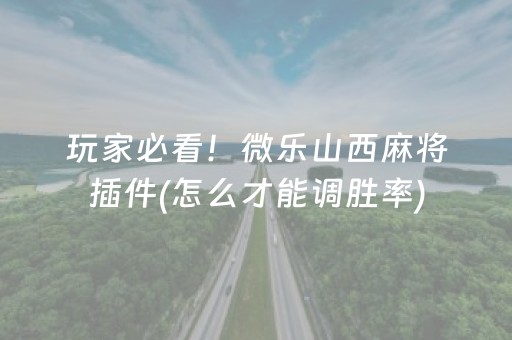 玩家必看！微乐山西麻将插件(怎么才能调胜率)