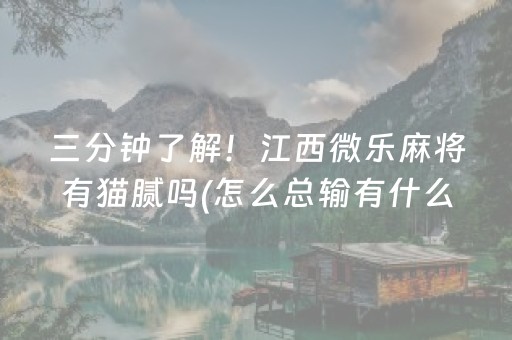 三分钟了解！江西微乐麻将有猫腻吗(怎么总输有什么猫腻)