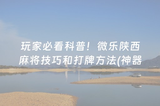 玩家必看科普！微乐陕西麻将技巧和打牌方法(神器软件)