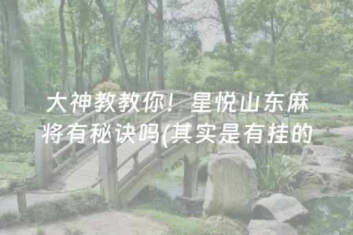 大神教教你！星悦山东麻将有秘诀吗(其实是有挂的)