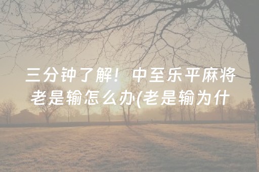 三分钟了解！中至乐平麻将老是输怎么办(老是输为什么)