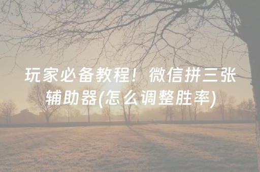 玩家必备教程！微信拼三张辅助器(怎么调整胜率)