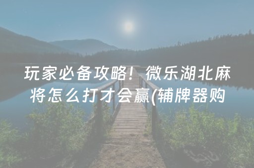玩家必备攻略！微乐湖北麻将怎么打才会赢(辅牌器购买)