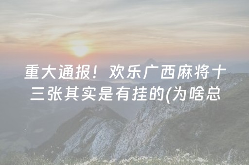 分享辅助“微乐吉林麻将赢牌的技巧”（详细透视教程）-哔哩哔哩