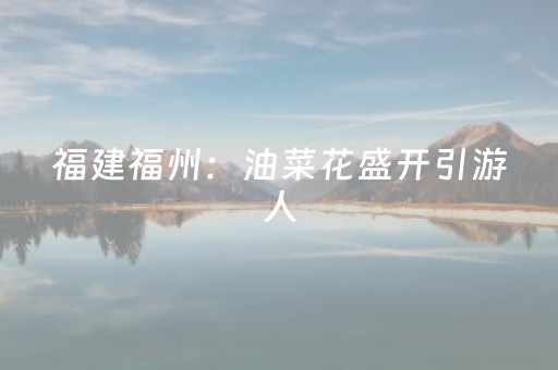 实测结果“手机三公辅助软件”（详细透视教程）-哔哩哔哩