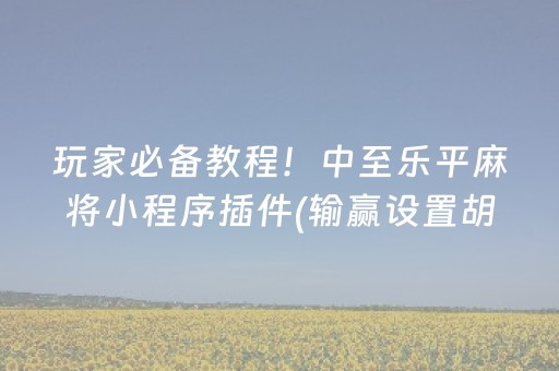 教程辅助“麻将机程序控牌器多少钱安装（专用辅牌神器免安装）