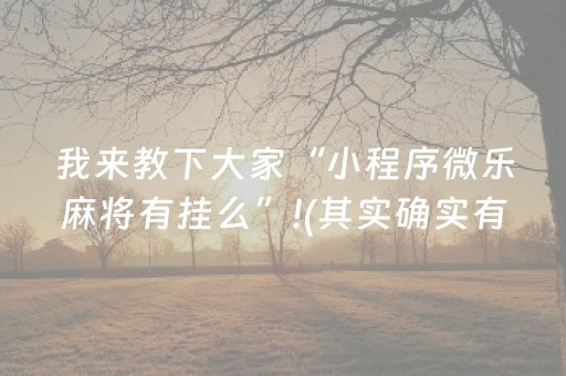 终于发现“微乐龙江麻将漏宝神器链接”（详细透视教程）-哔哩哔哩
