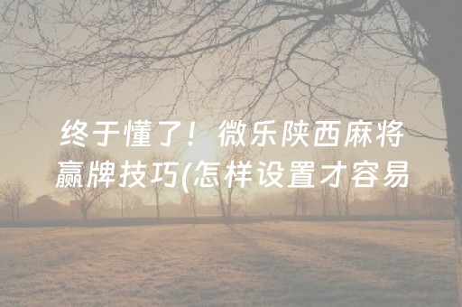 终于发现了“麻将机解码器真的能解码吗（专用辅牌神器免安装）
