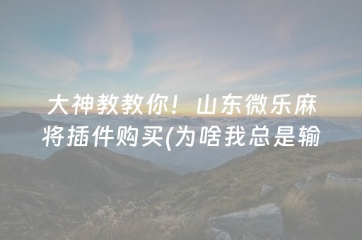 大神教教你！山东微乐麻将插件购买(为啥我总是输)