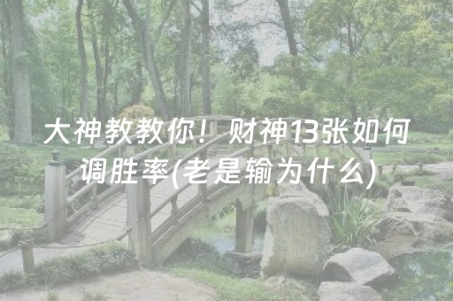 胜率设置方法“兴动麻将漏牌器（助赢神器通用版）