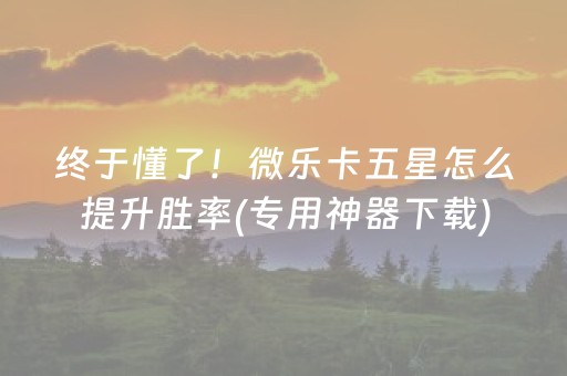 实测教程“微乐麻将助赢神器（专用辅牌神器免安装）