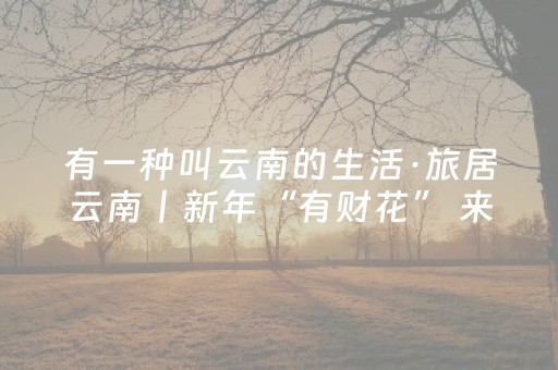 玩家必看攻略“普通麻将机助赢神器（专用辅牌神器免安装）
