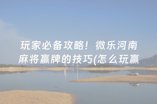玩家必备攻略！微乐河南麻将赢牌的技巧(怎么玩赢几率大)