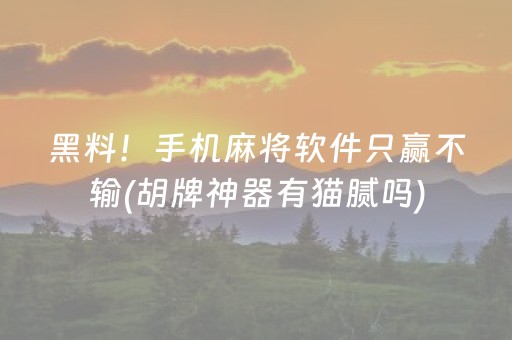黑料！手机麻将软件只赢不输(胡牌神器有猫腻吗)