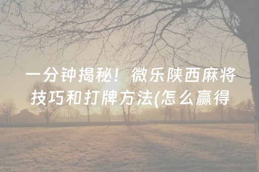 分享辅助“手机麻将怎么让系统给你发好牌（专用辅牌神器免安装）