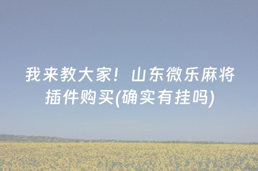 我来教大家！山东微乐麻将插件购买(确实有挂吗)