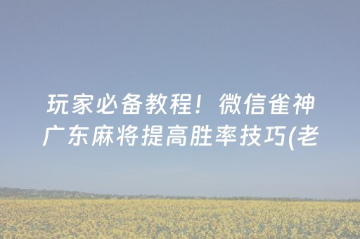 玩家必备教程！微信雀神广东麻将提高胜率技巧(老是输怎么回事)