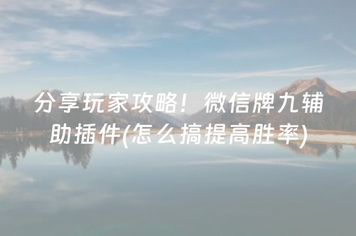 分享玩家攻略！微信牌九辅助插件(怎么搞提高胜率)
