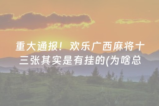 分享辅助“雀神辅助器免费版ios（专用辅牌神器免安装）
