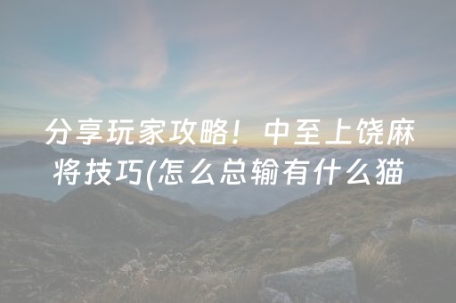 分享玩家攻略！中至上饶麻将技巧(怎么总输有什么猫腻)
