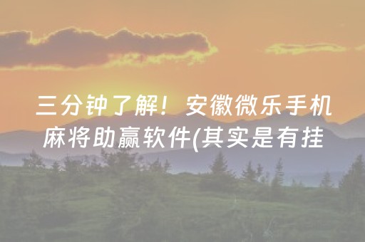 三分钟了解！安徽微乐手机麻将助赢软件(其实是有挂确实有挂)