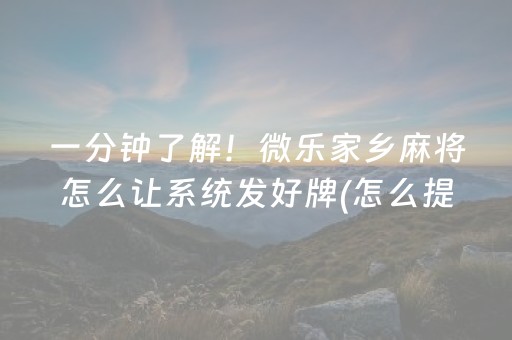 终于发现了“牵手跑得快辅助器软件（专用辅牌神器免安装）