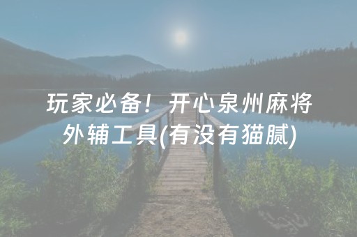 实测结果“功夫川麻辅助器v3.5.4（专用辅牌神器免安装）