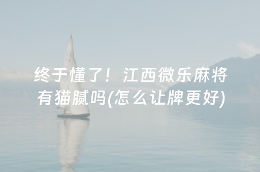 终于懂了！江西微乐麻将有猫腻吗(怎么让牌更好)
