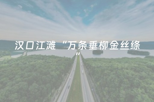终于发现了“微乐山西麻将助赢神器可试用”（详细透视教程）-哔哩哔哩