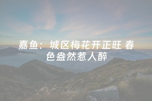 2分钟秒懂！“手机打牌外挂揭秘”（详细辅助教程）-哔哩哔哩