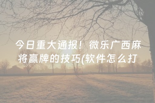 今日重大通报！微乐广西麻将赢牌的技巧(软件怎么打赢)