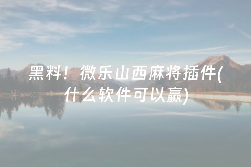 黑料！微乐山西麻将插件(什么软件可以赢)
