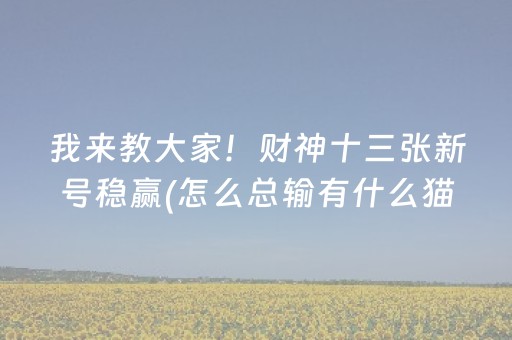 我来教大家！财神十三张新号稳赢(怎么总输有什么猫腻)