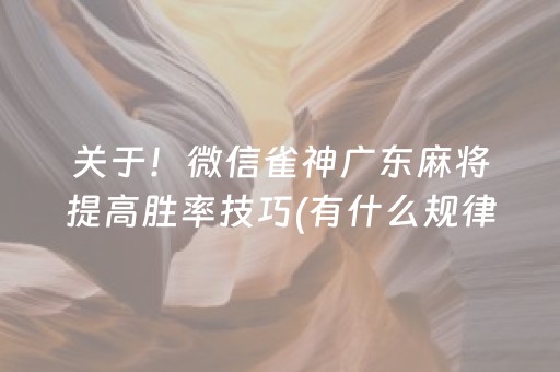 终于发现了“微乐江苏麻将挂件神器通用（助赢神器通用版）