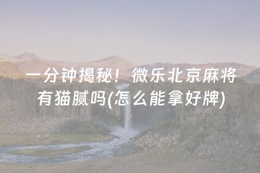 一分钟揭秘！微乐北京麻将有猫腻吗(怎么能拿好牌)