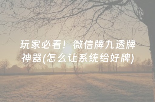 玩家必看！微信牌九透牌神器(怎么让系统给好牌)
