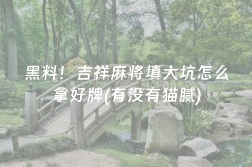 黑料！吉祥麻将填大坑怎么拿好牌(有没有猫腻)