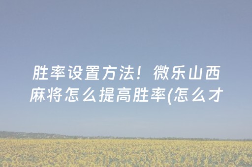 胜率设置方法！微乐山西麻将怎么提高胜率(怎么才能赢)