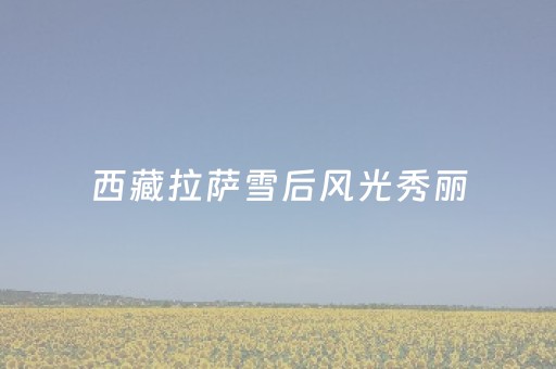 实测结果“手机麻将100%能赢的神器（助赢神器通用版）