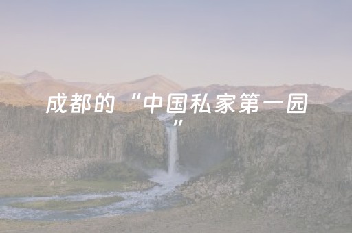 实测分享“手机跑得快辅助器（专用辅牌神器免安装）