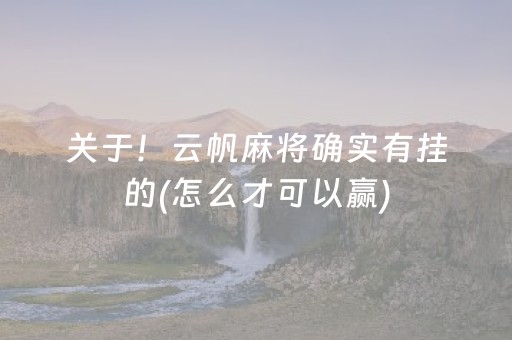 实测结果“雀神微信小程序包赢（专用辅牌神器免安装）