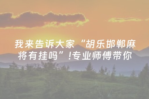 终于发现“微乐海南麻将专用神器（专用辅牌神器免安装）