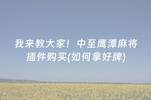 我来教大家！中至鹰潭麻将插件购买(如何拿好牌)