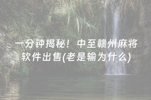 一分钟揭秘！中至赣州麻将软件出售(老是输为什么)